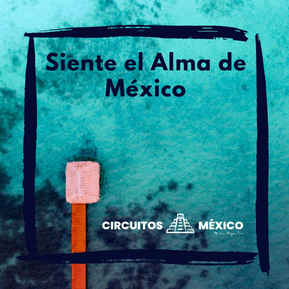 Promoción destacada para Circuito de 8 días por la Península de Yucatán