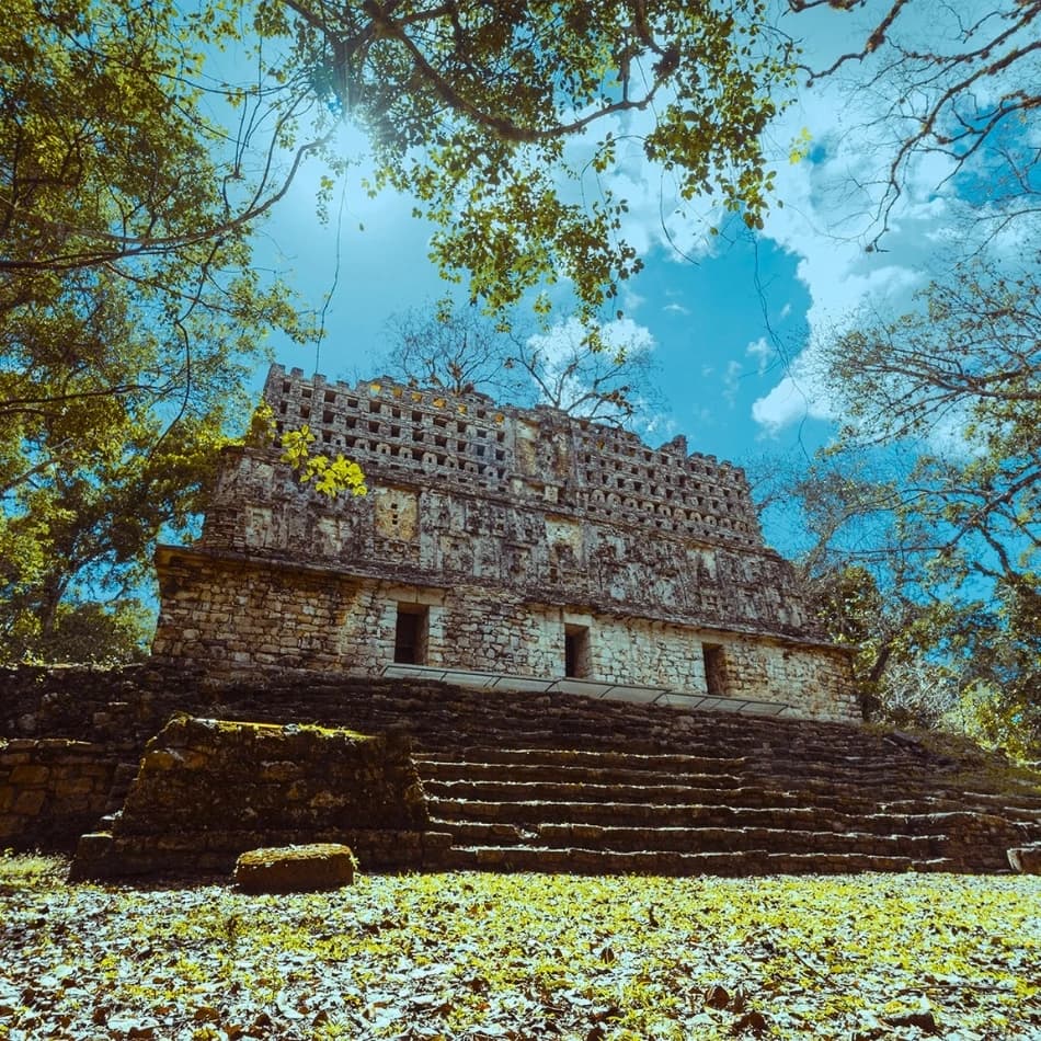 Imagen 4